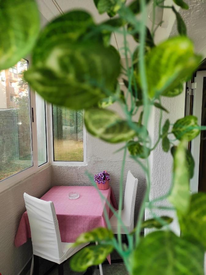 Apartment Sanja 帕津 外观 照片