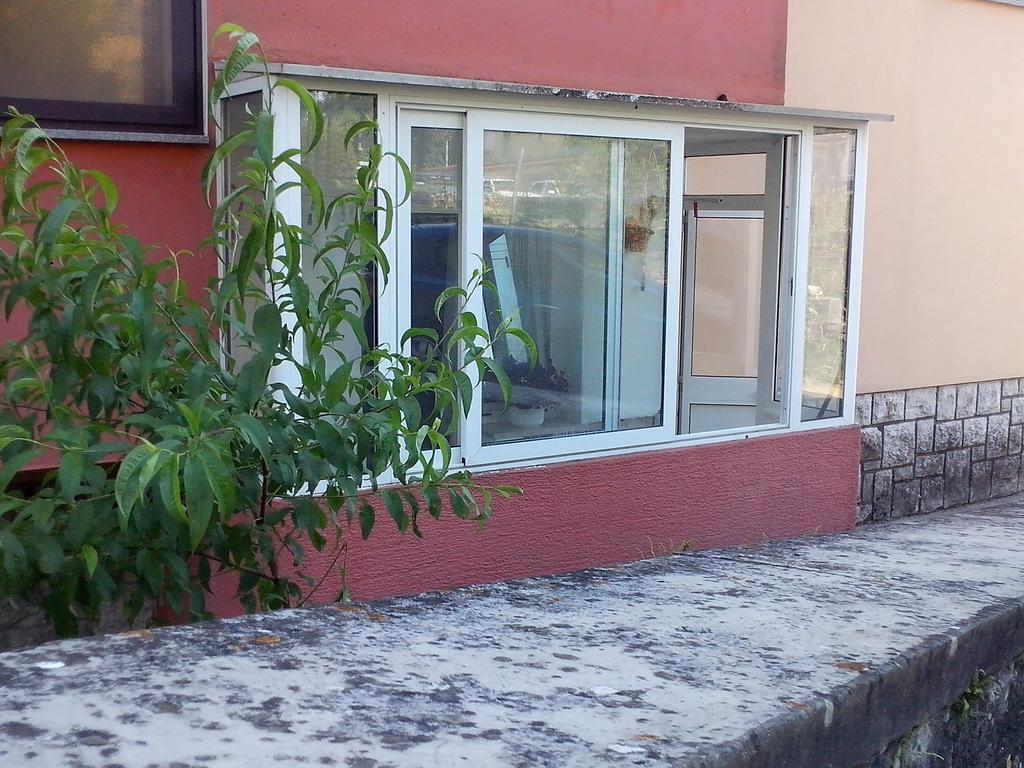 Apartment Sanja 帕津 客房 照片
